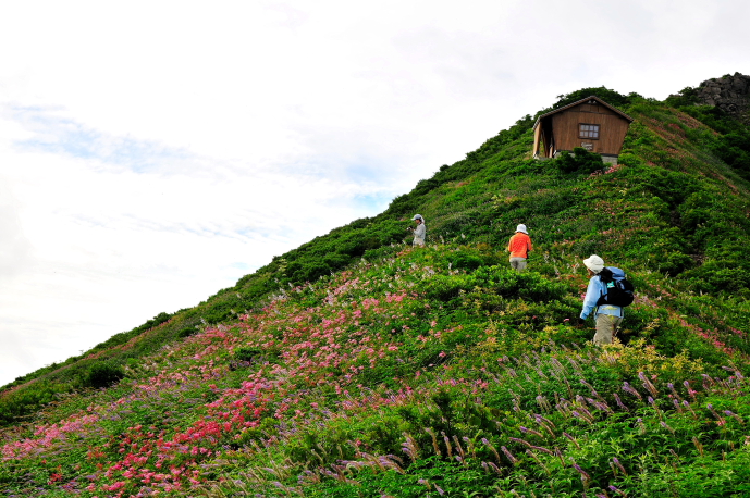 大山　ユートピアのお花畑_a0041073_2242512.jpg