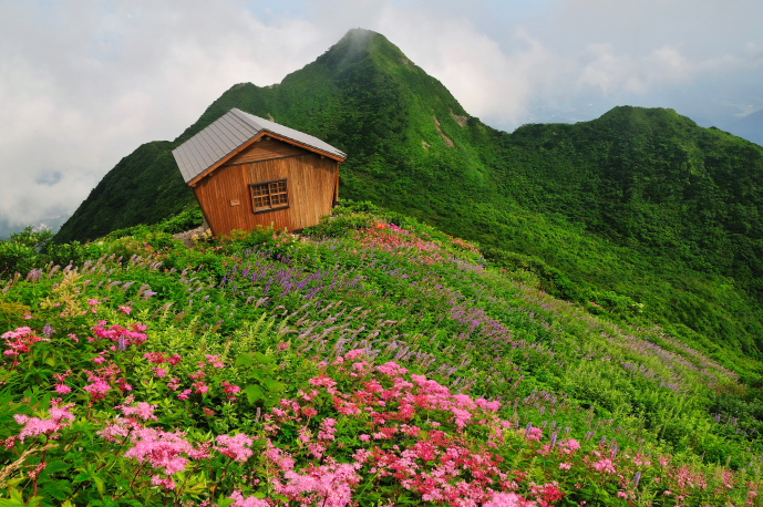 大山　ユートピアのお花畑_a0041073_2264493.jpg