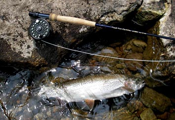 Deer Creek Switch Rods : E and E Outdoors Blog Deer Creek Switch Rods : E and E Outdoors Blog