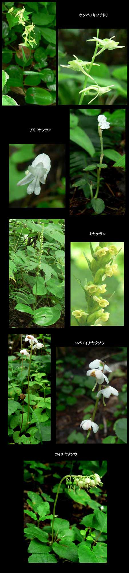 f0083977_15502981.jpg