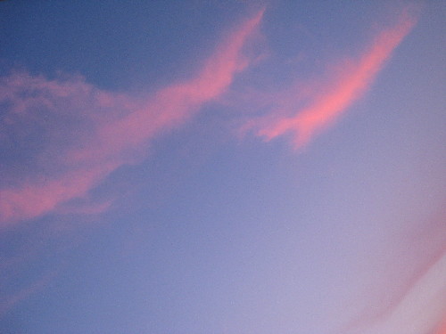 c0132387_2385875.jpg