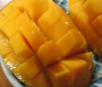 a0027290_23144296.jpg
