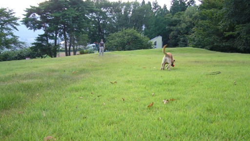 e0121790_20254259.jpg