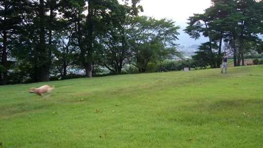 e0121790_2025650.jpg