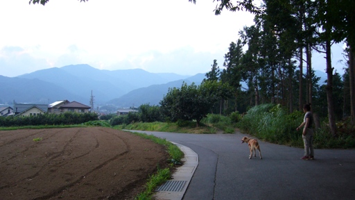 e0121790_20263678.jpg
