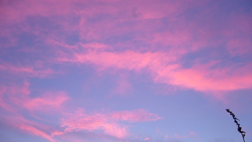 e0121790_20282359.jpg