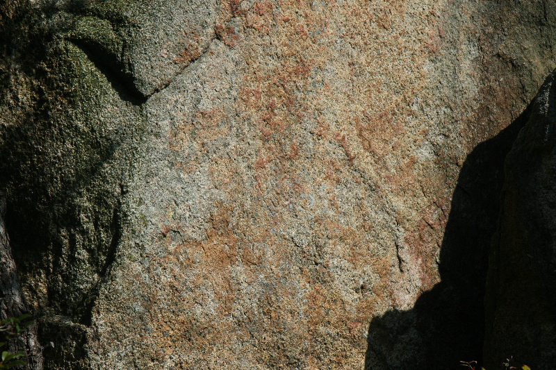 b0155395_1165946.jpg