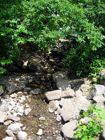 a0019601_22463348.jpg