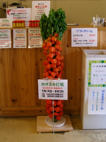 c0036203_1733796.jpg
