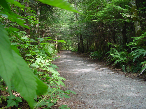 c0057810_011406.jpg