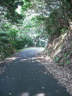 f0169012_15264912.jpg