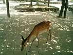 c0009413_11144553.jpg