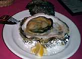 c0009413_1140513.jpg