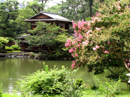 京都御苑 九条池_e0048413_930023.jpg