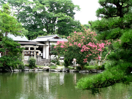 京都御苑 九条池_e0048413_9303159.jpg