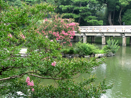 京都御苑 九条池_e0048413_930451.jpg