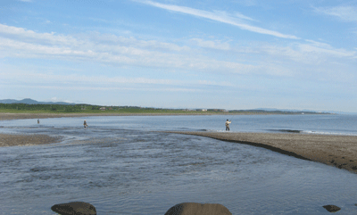 a0086316_535299.gif