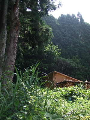 信州の山里　高山村　赤和窯　作品_a0104122_15563394.jpg