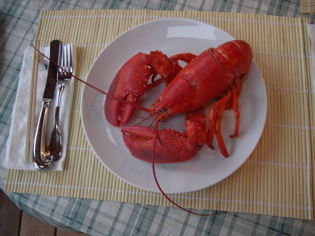 Maine Lobster メイン ロブスター ファルマウスミー Maine Lobster メイン ロブスター ファルマウスミー
