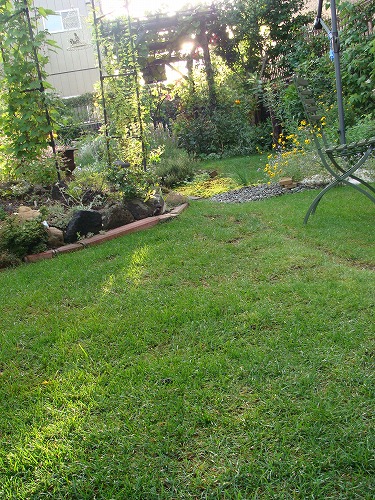 f0170524_14161784.jpg