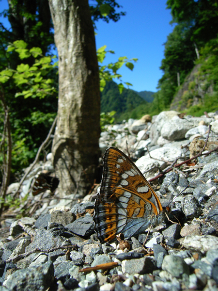 d0054625_13363429.jpg