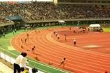 c0051032_21485148.jpg
