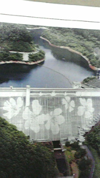 eco_c0149633_2135890.jpg