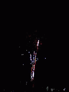 a0050838_23381369.gif