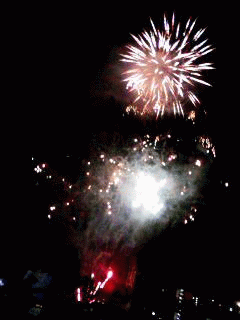 a0050838_23421930.gif
