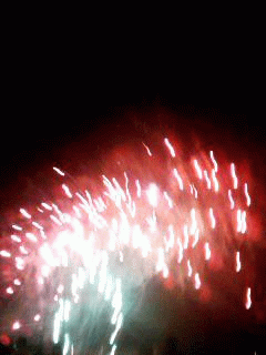a0050838_2350714.gif