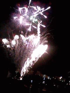 a0050838_23583483.gif
