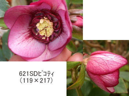 c0025140_10423779.jpg
