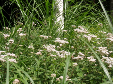 八ヶ岳のふもと 小淵沢へ_b0132442_18112598.jpg