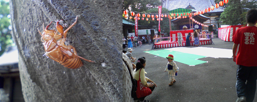 d0119642_1849666.jpg