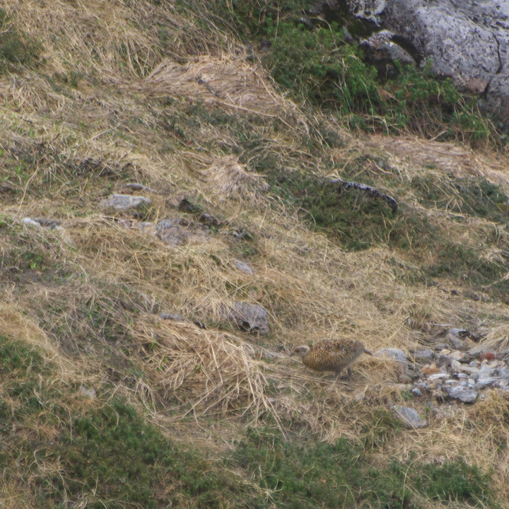 d0098645_190294.jpg