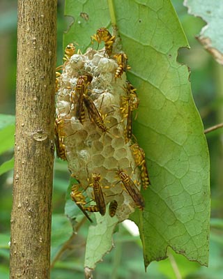 e0035757_18443678.jpg