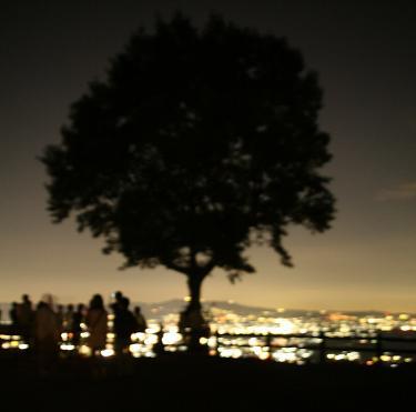 c0164364_1216495.jpg