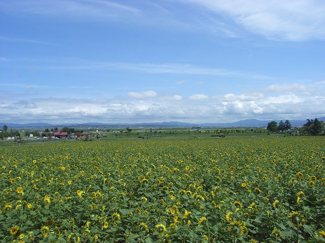 e0130986_8133637.jpg