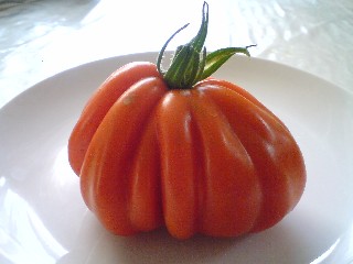 ズッカの夏野菜サラダ_f0106693_20101676.jpg