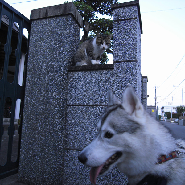 こんなところに!_c0049299_13492870.jpg