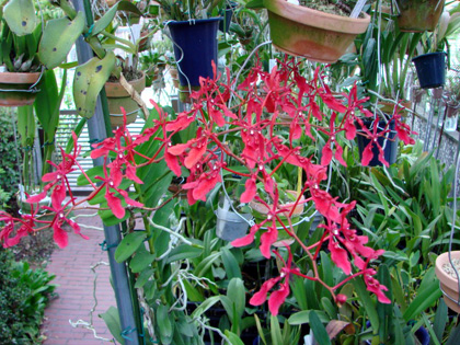d0007501_1915328.jpg