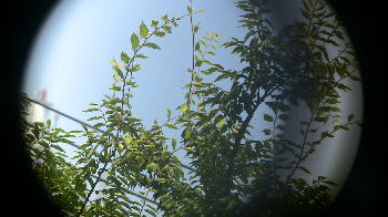 c0059002_1232059.jpg