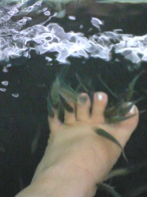 c0010510_949596.jpg
