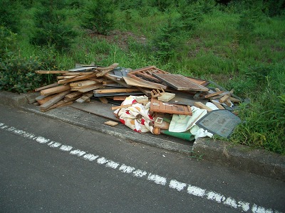 許せない!ゴミの不法投棄_f0141310_222104.jpg
