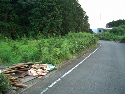 許せない!ゴミの不法投棄_f0141310_22212325.jpg