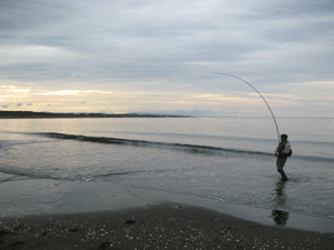 a0086316_7323687.gif