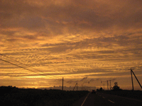 a0086316_7365395.gif
