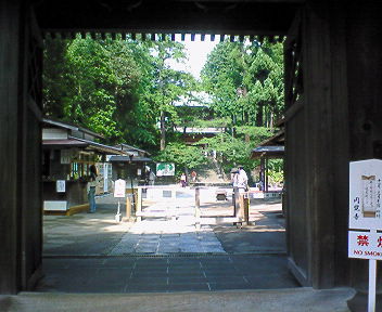 d0013816_16163537.jpg