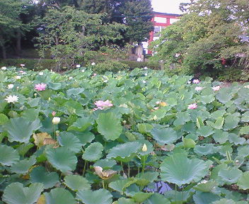 d0013816_16371992.jpg