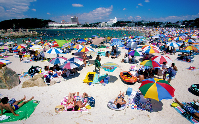 夏の日 Pinbokephoto Diary 夏の日 Pinbokephoto Diary